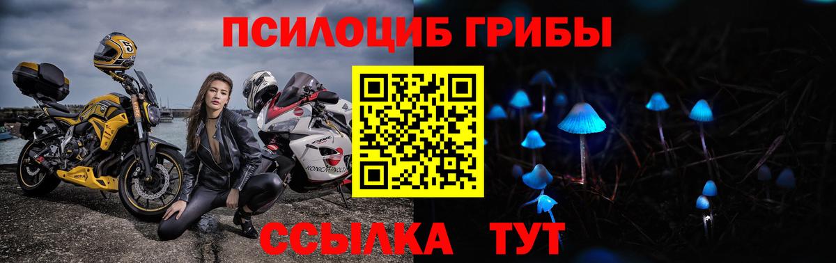 Псилоцибиновые грибы прущие грибы Зеленогорск